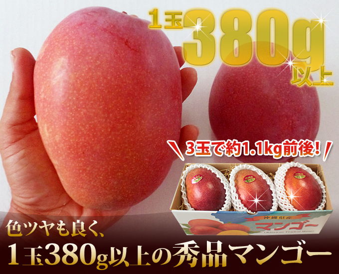 380g以上のマンゴー