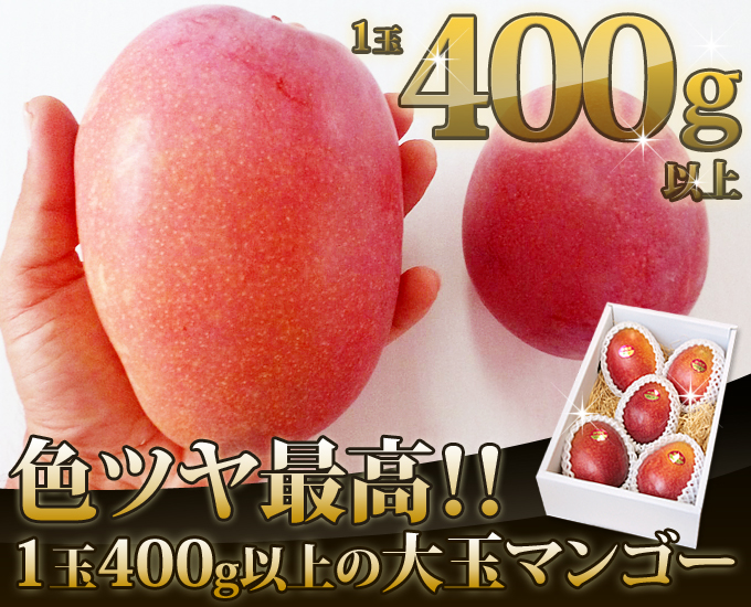 400g以上のマンゴー