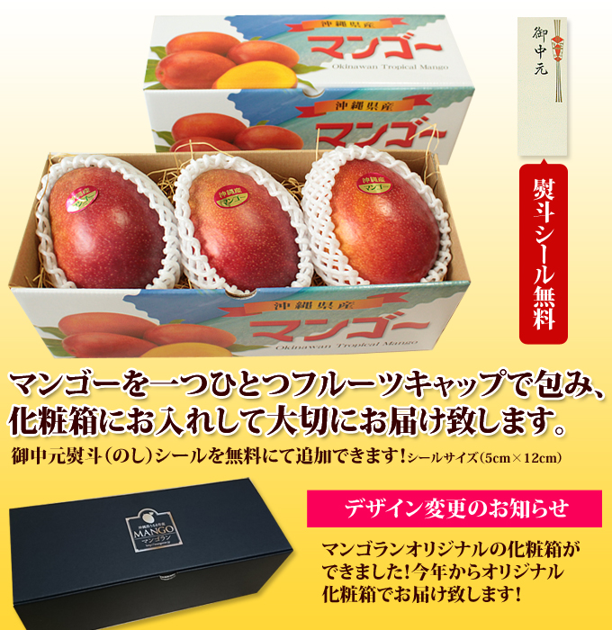 お中元ギフト用化粧箱・のしのご説明