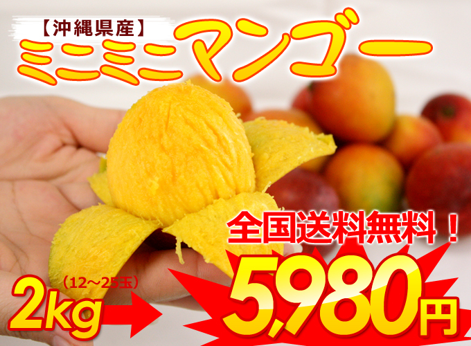 沖縄マンゴーミニマンゴー2kg