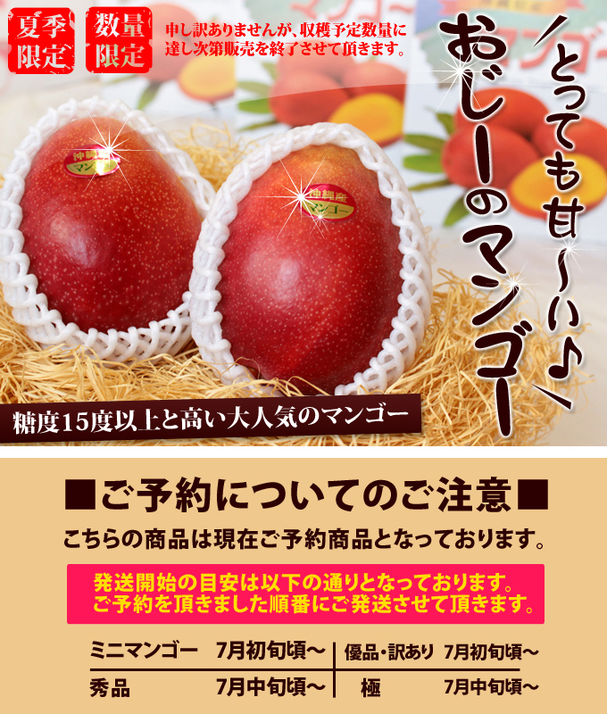 数量限定沖縄県産おじーのマンゴー