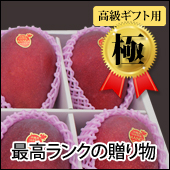 【極】高級ギフト用マンゴー