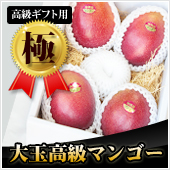 【極】高級ギフト用マンゴー