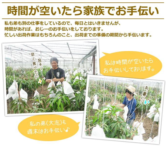 お手伝い