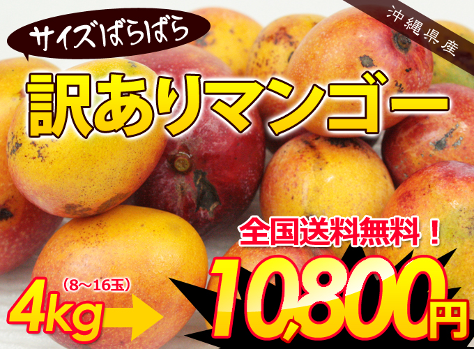 沖縄産サイズばらばら訳ありマンゴー（ご家庭用）4kg