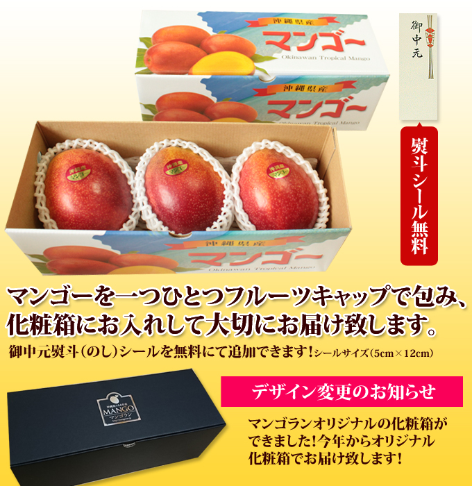 お中元ギフト用化粧箱・のしのご説明