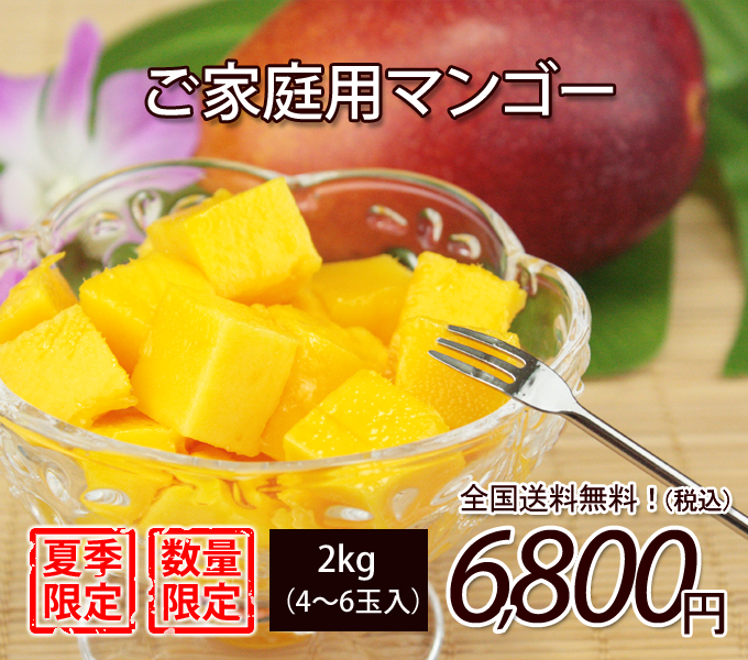 沖縄産サイズばらばらご家庭用マンゴー2kg