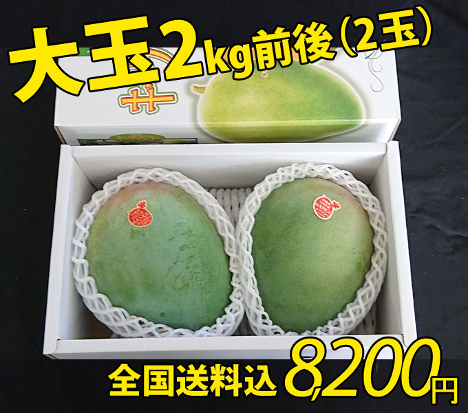 大玉　フルーツ　キーツマンゴー　2キロ