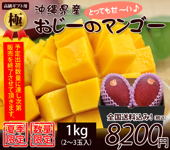 沖縄県産高級マンゴー１kg