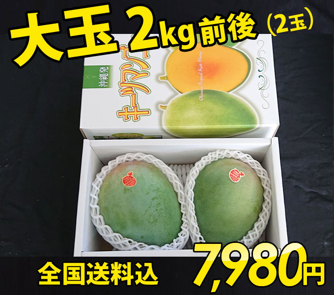 沖縄キーツマンゴー贈答用（お中元・ギフト）おじーのマンゴー2玉入り2kg
