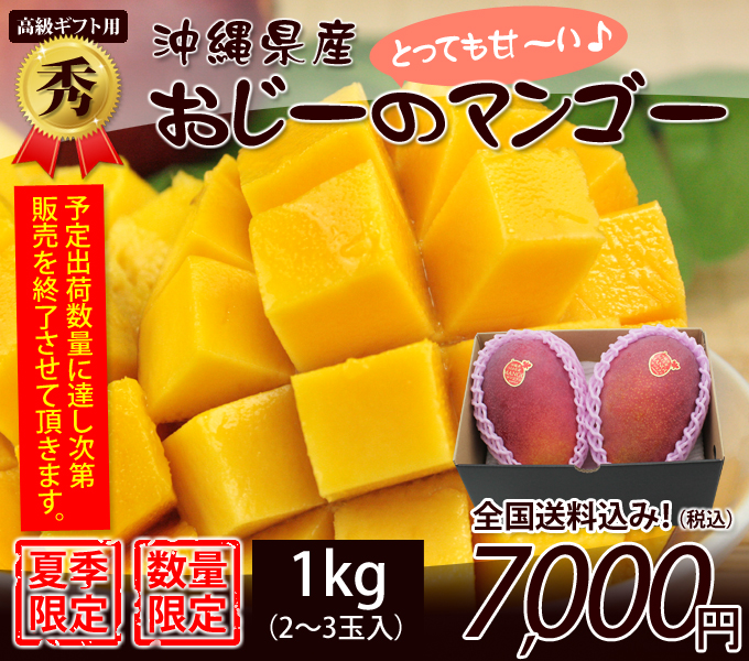 沖縄県産秀品マンゴー１kg2～3玉入り