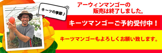 2026年マンゴーの予約販売開始致しました!