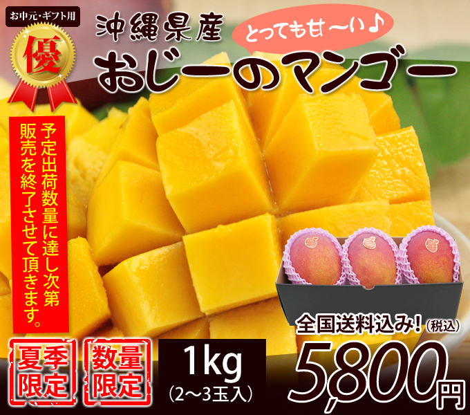人気のギフト！沖縄県産マンゴー１kg2～3玉入り